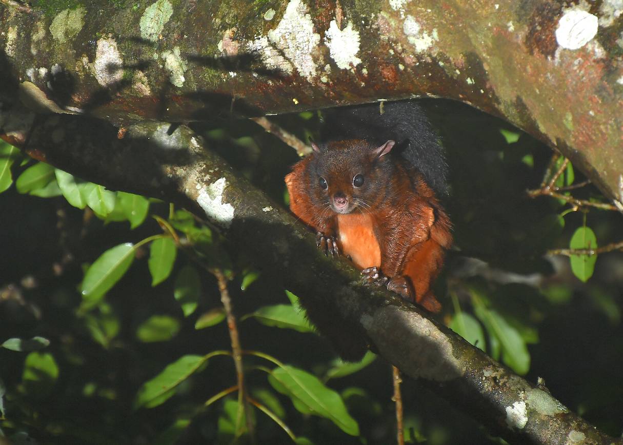 bad75c9d-9787-40f2-82eb-8efa8401a766