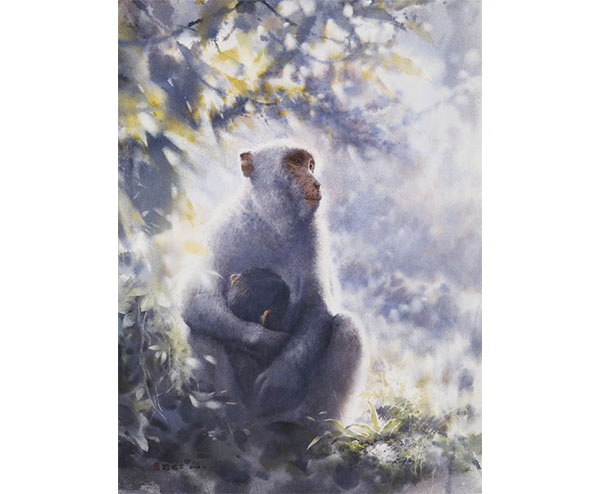 母愛_台灣獼猴_程振文