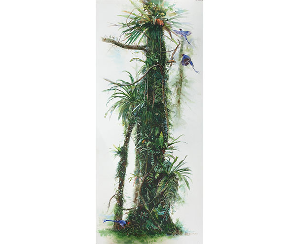 附生植物_楊恩生