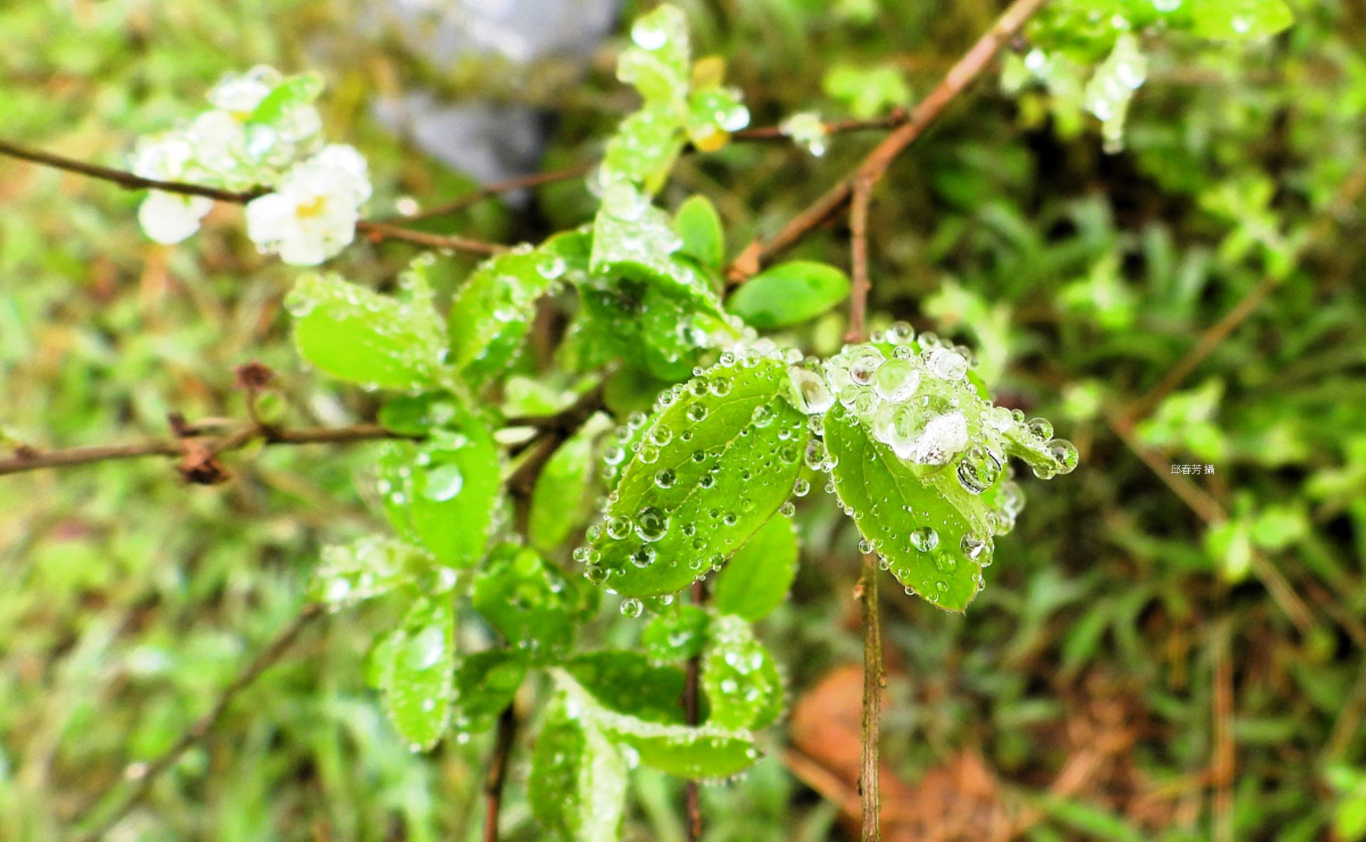 Security Policy Banner