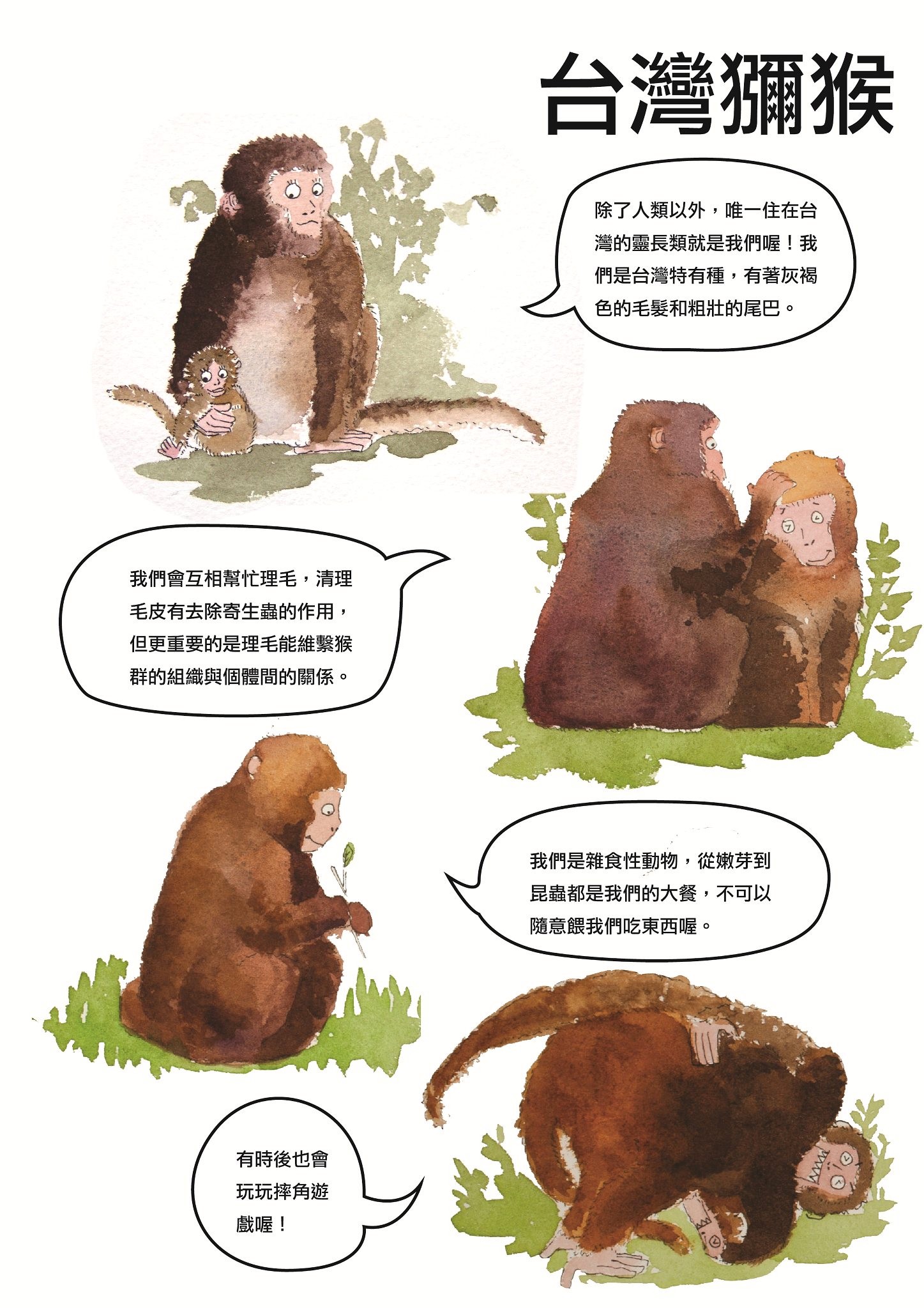 活潑愛玩的台灣獼猴